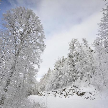 Gite Face Au Vercors Βίλα Marches Εξωτερικό φωτογραφία