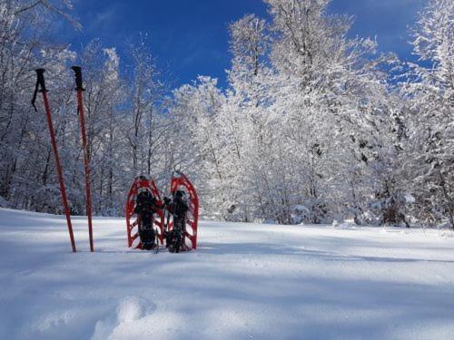 Gite Face Au Vercors Βίλα Marches Εξωτερικό φωτογραφία