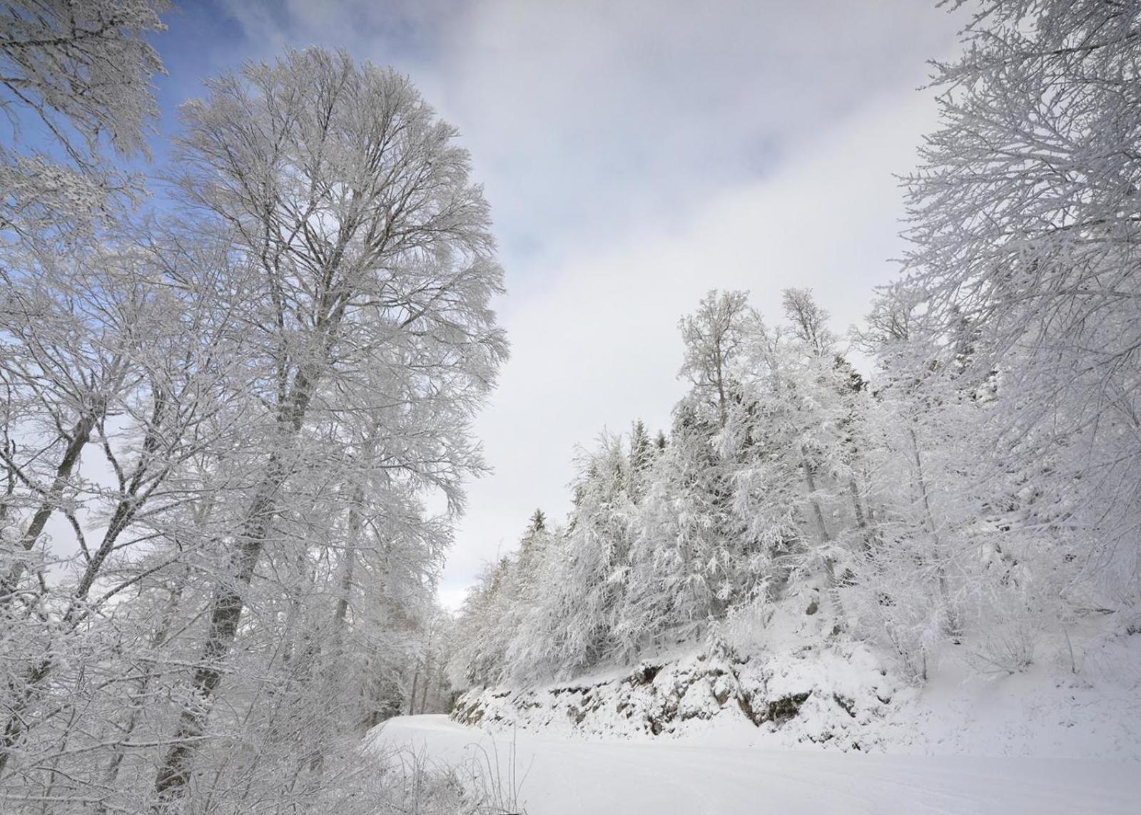 Gite Face Au Vercors Βίλα Marches Εξωτερικό φωτογραφία