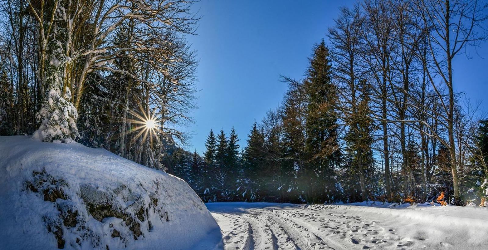 Gite Face Au Vercors Βίλα Marches Εξωτερικό φωτογραφία