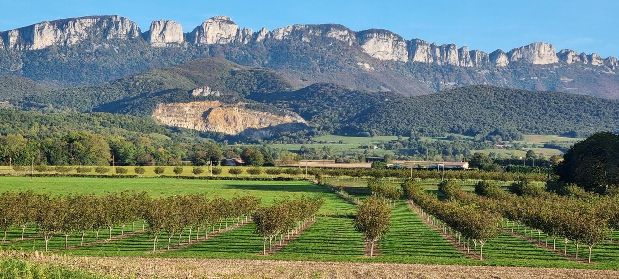 Gite Face Au Vercors Βίλα Marches Εξωτερικό φωτογραφία